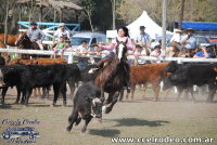 Fiesta Criolla 15-9-19
