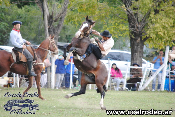 Fiesta Criolla 1-5-2025