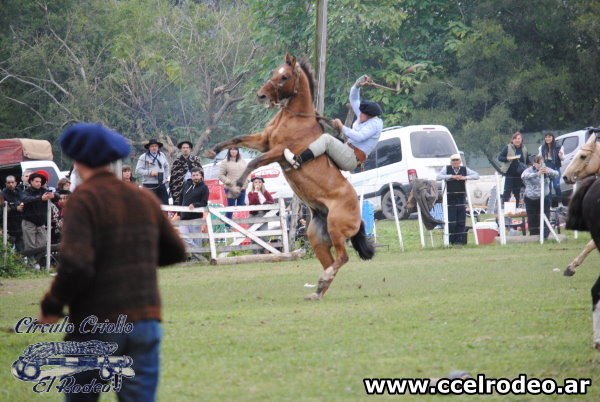 Fiesta Criolla 25-5-2025